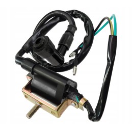 Ignition coil atv110