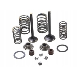 ATV 110 head valves set