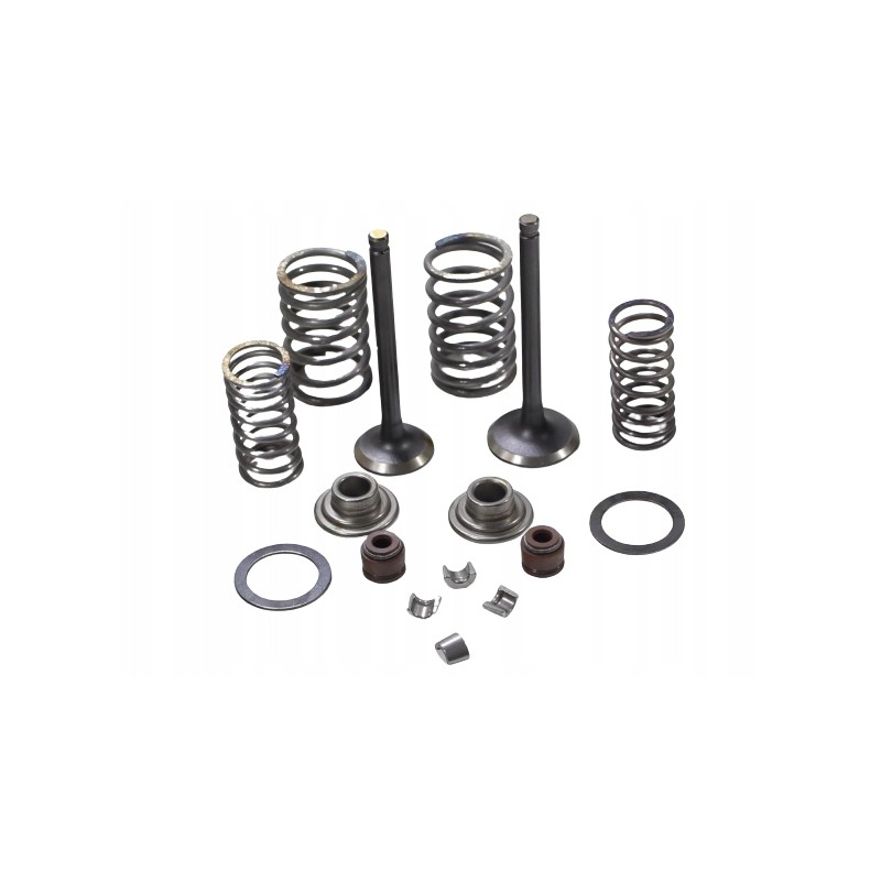 ATV 110 head valves set