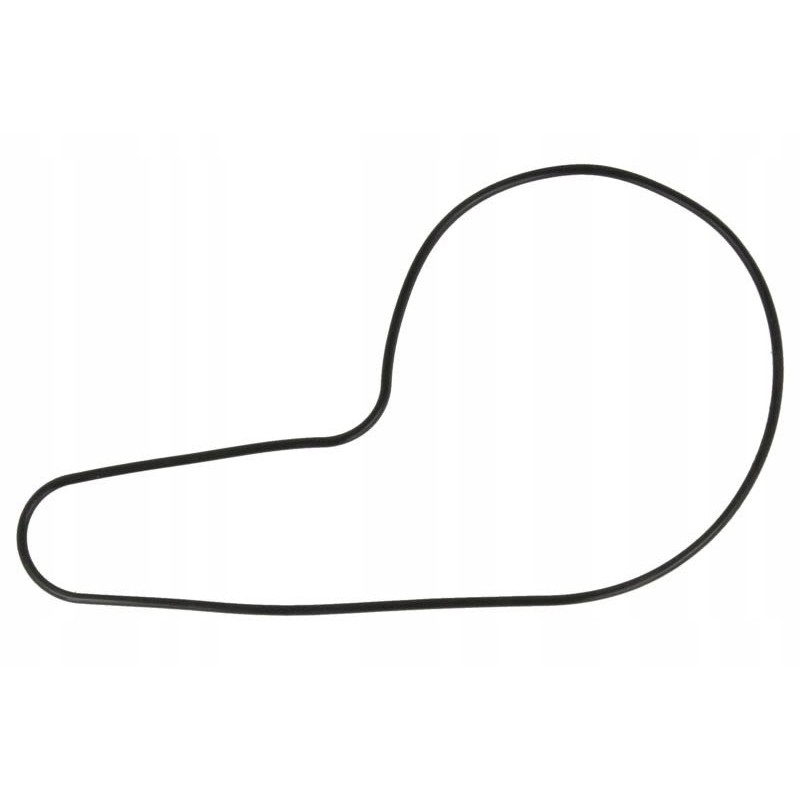 Water pump cover gasket