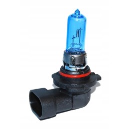 Bulb hb3 12v 65w can am bu6211b