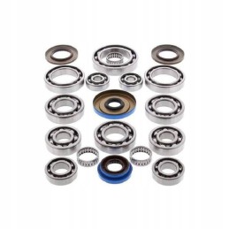 All balls Polaris 1000 differential repair kit