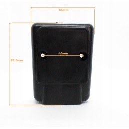 Air filter insert in a pocket bike housing