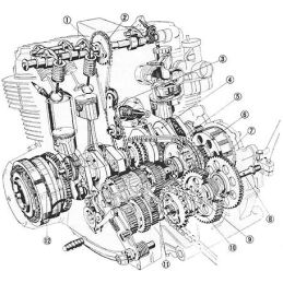 Clutch gasket suzuki lt f 250 ozark 02 09