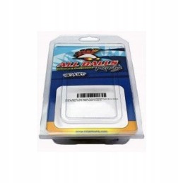 All balls Polaris 1000 differential repair kit