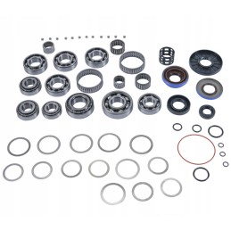 Polaris RZR 800 differential repair kit