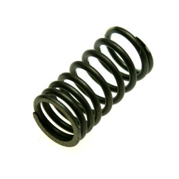 Valve spring atv quad adly 280 beyond yh 260