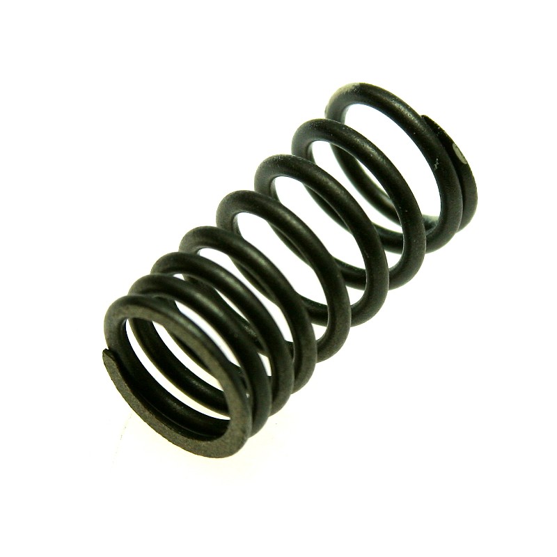 Valve spring atv quad adly 280 beyond yh 260