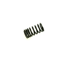 Valve spring atv quad adly 280 beyond yh 260