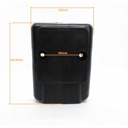 Air filter insert in a pocket bike housing