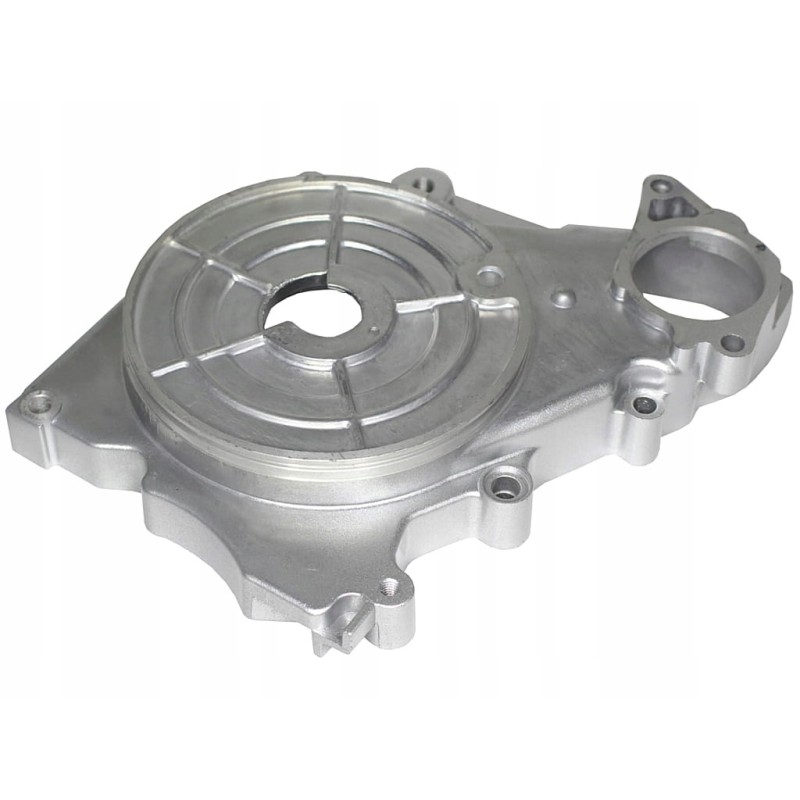 ATV110 crankcase for the lower starter
