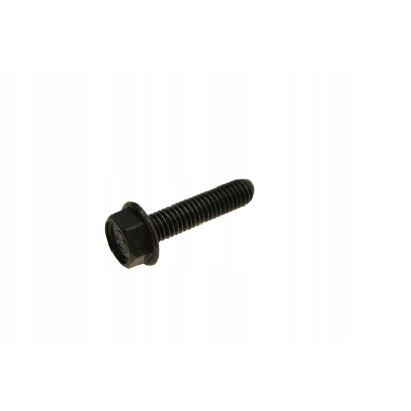 Gear selector screw a91700 06025 10g lucky star