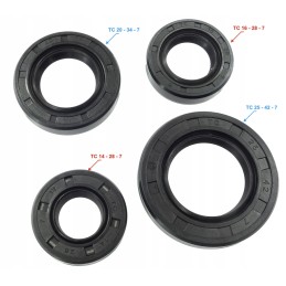 Seals cg 200 250 atv quad bashan kinroad