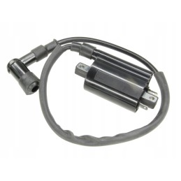 Ignition coil atv quad keeway gtx linhai benyco buyang allroad 260 300