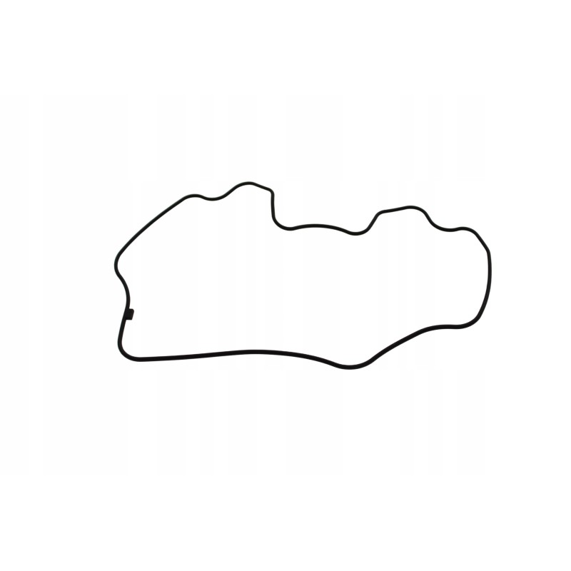 Lucky star 400 valve cover gasket