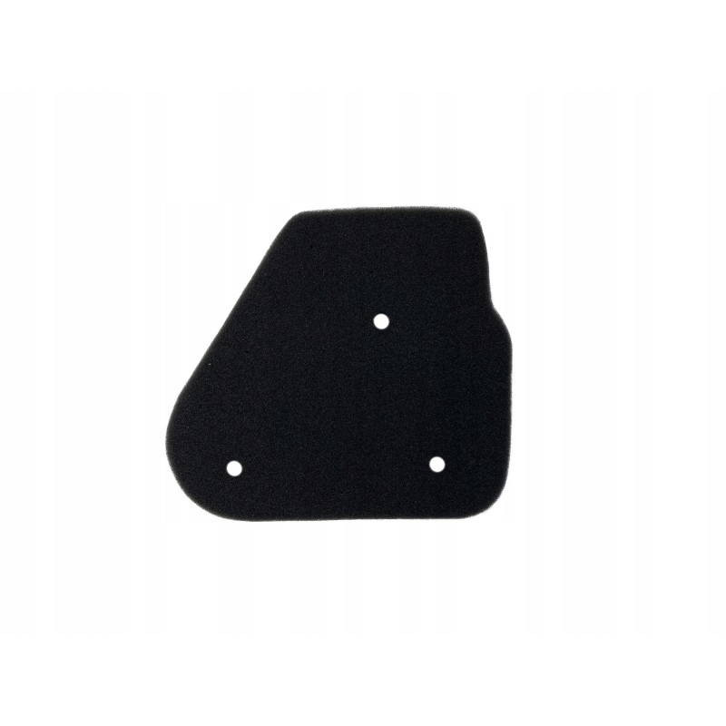 Air filter insert 2t longjia sponge
