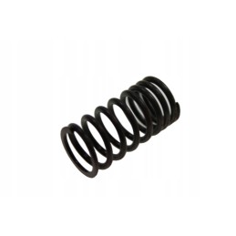 Valve spring lucky star 250 300 original
