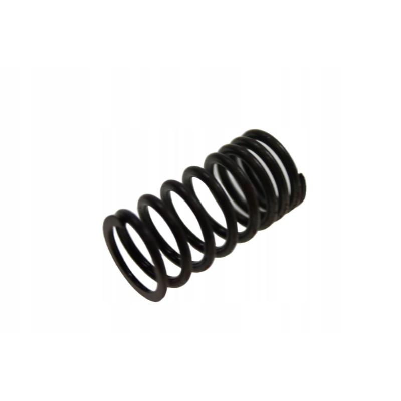 Valve spring lucky star 250 300 original