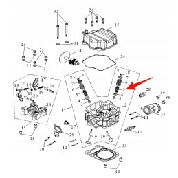 Valve spring lucky star 250 300 original