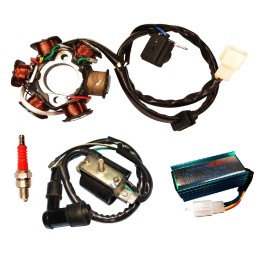 Igniter module coil quad atv 110 125 6 coils set