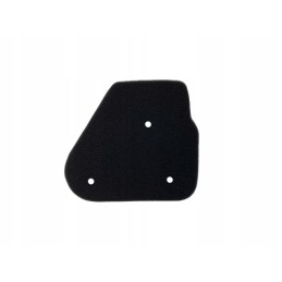 Air filter insert 2t longjia sponge