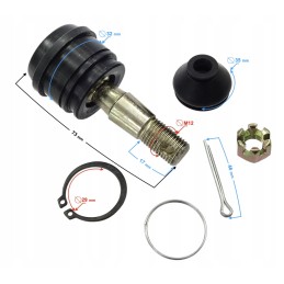 End of the wishbone atv 252 moretti