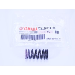 Yamaha yfz 450 exhaust valve spring