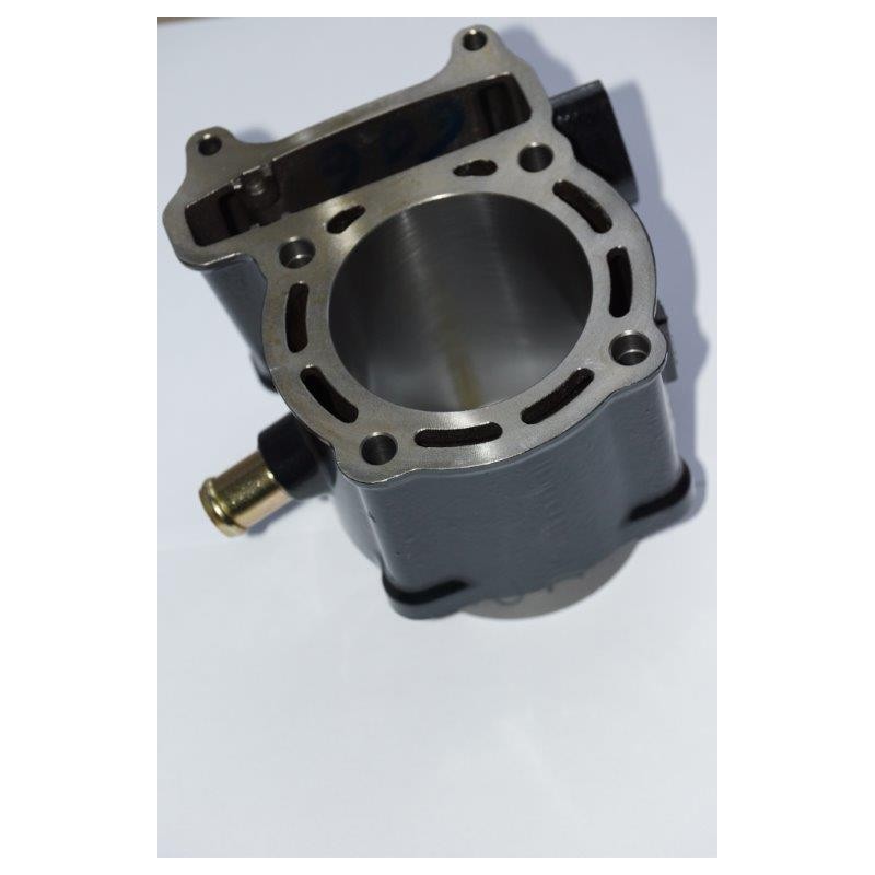 Kymco mxu maxxer 300 cylinder