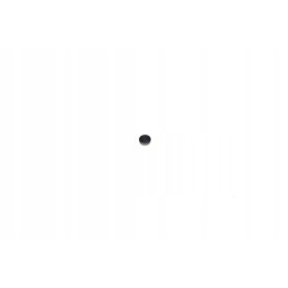 Shinray ss250gy valve plate 2