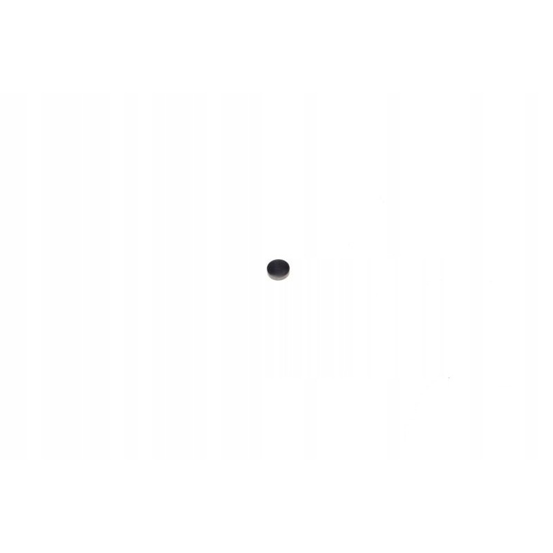 Shinray ss250gy valve plate 2