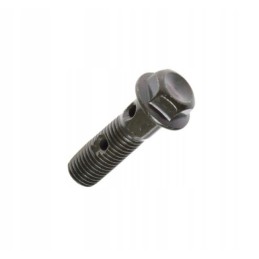Brake pump screw m10x1 25 long