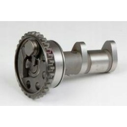 Hot cams camshaft yamaha yz 450f 03/09 edition