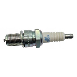 Spark plug ngk br8es bashan shineray eagle