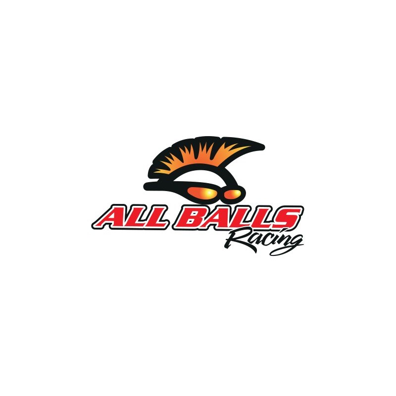 All balls rear wheel bearings with seals h