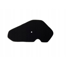 Air filter insert 2t quantum sponge