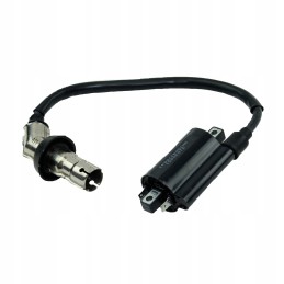 Ignition coil for ATV Quad 300 XY Ste Shinray