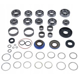 Polaris RZR 800 differential repair kit