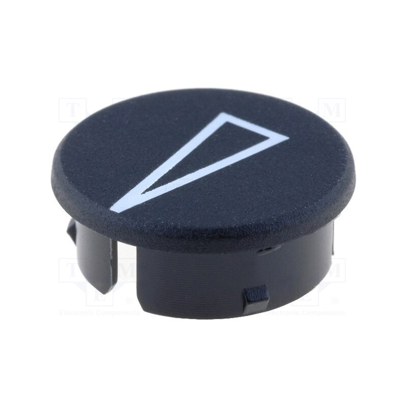 2 pcs x RITEL - 3021133 - Cap, with pointer, polyamide, black, -20÷70°C, G21