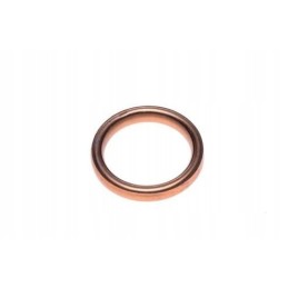 Barossa 250 muffler elbow gasket