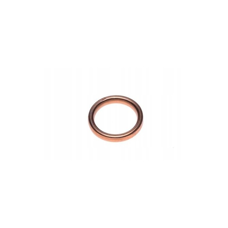 Barossa 250 muffler elbow gasket