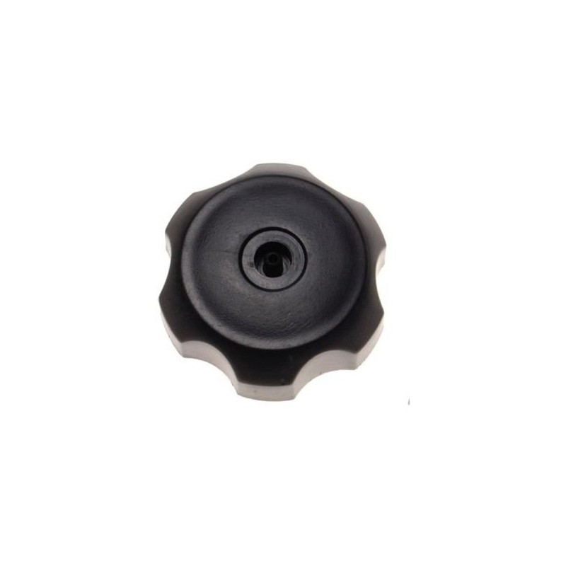 Fuel tank cap atv 200 250