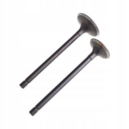 Exhaust intake valves atv 150ccm CG