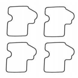 Float chamber seals Kawasaki KFX 700 set