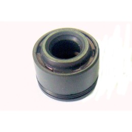 Valve seal atv 200 250 bashan hassan