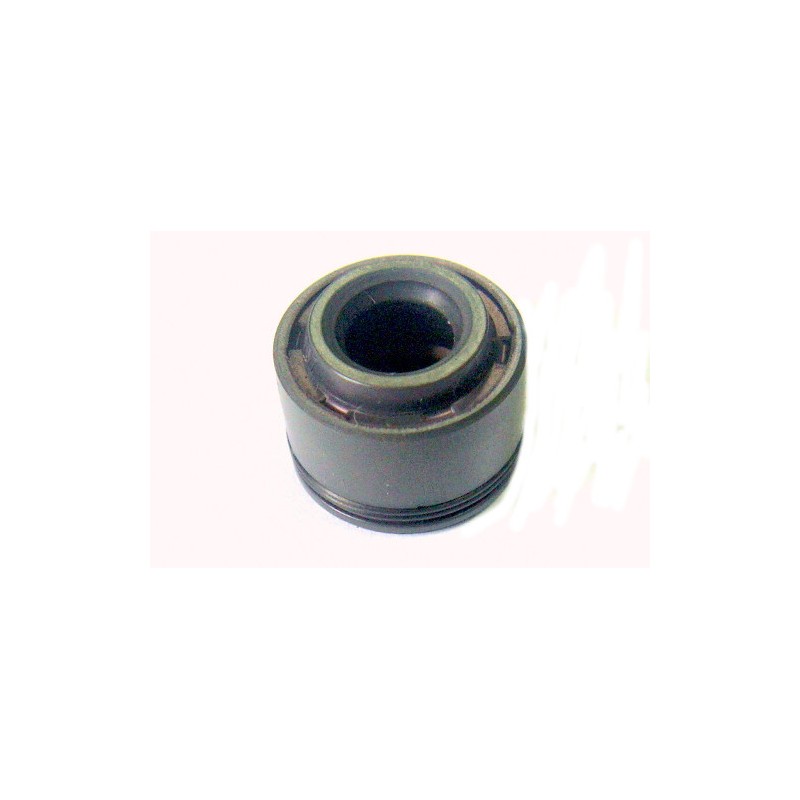 Valve seal atv 200 250 bashan hassan
