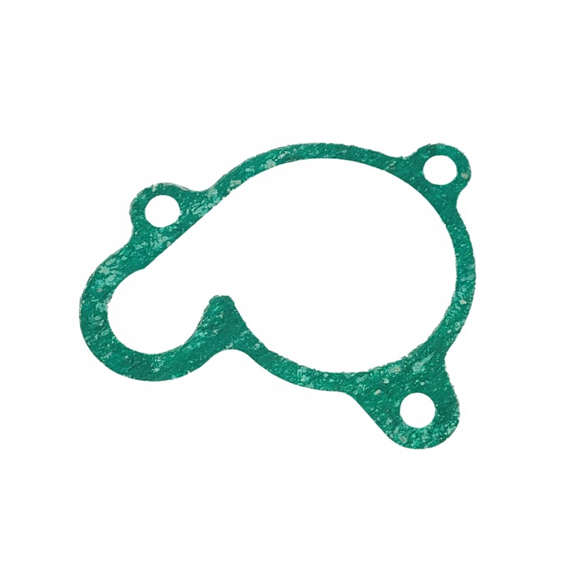 Water pump seal atv quad linhai cf moto allroad keeway gtx benyco 300