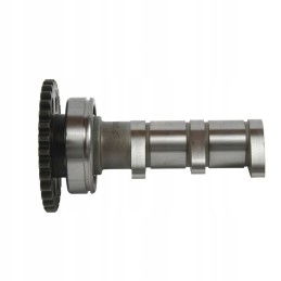 Hot cams camshaft yamaha yfz 450r 09 20