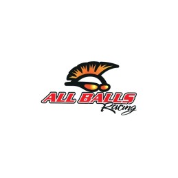 All balls front wheel bearings ktm adventure 640 03 exc 125 200 250 3