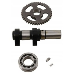 Hot cams camshaft polaris outlaw 500 05 07