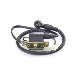 Ignition coil atv 110 125 fuxin wb